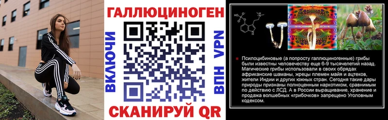 OMG ссылки  Валдай  Псилоцибиновые грибы Cubensis 
